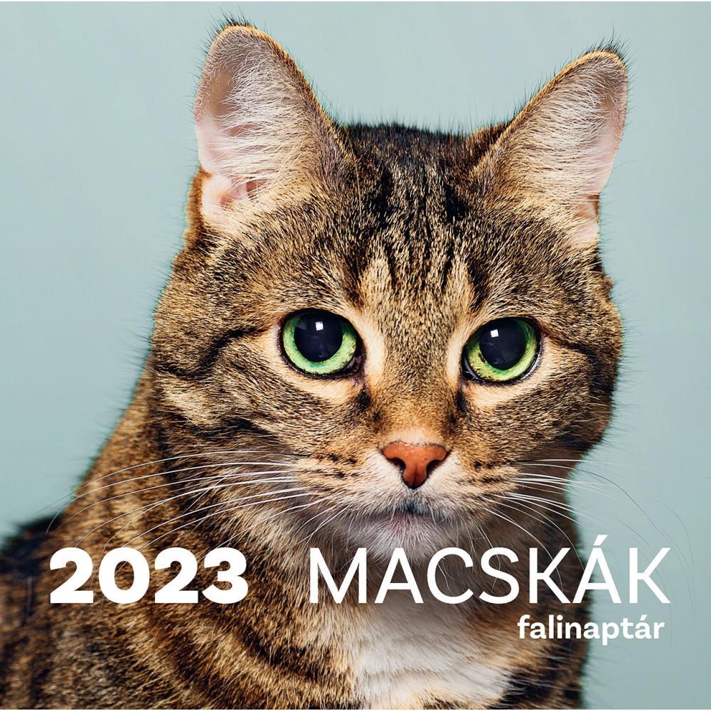 Macskák falinaptár - 2023