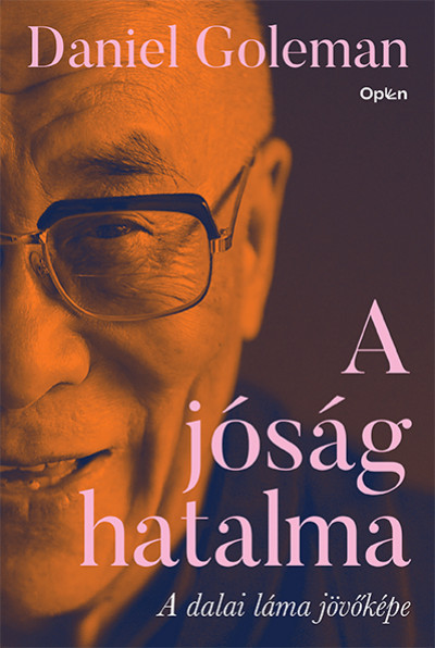 A jóság hatalma - A dalai láma jövőképe