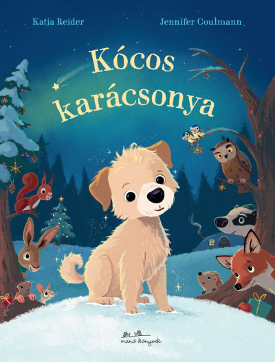 Kócos karácsonya