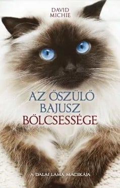 Az őszülő bajusz bölcsessége