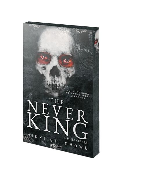 The Never King - A Sohakirály - Éldekorált - ELŐRENDELHETŐ
