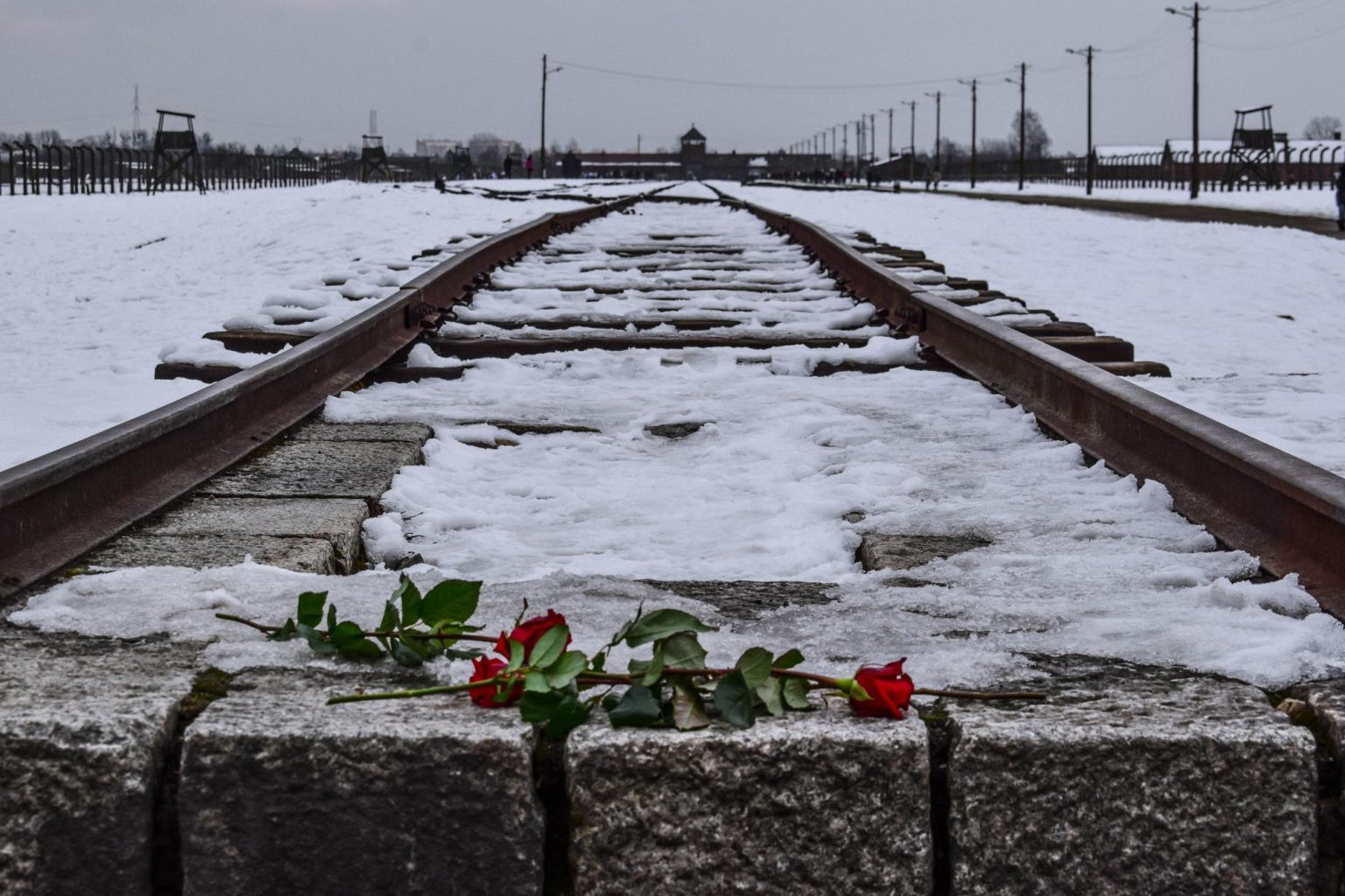 Auschwitz: Megrázó történetek a múltról