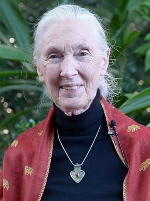 Jane Goodall