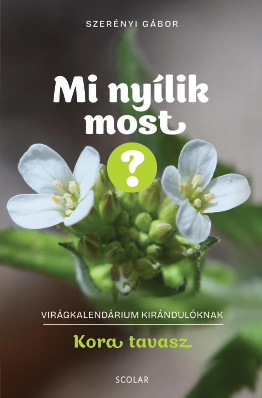 Mi nyílik most? - Kora tavasz