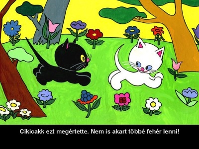 Cikicakk, a fekete cica - Diafilm