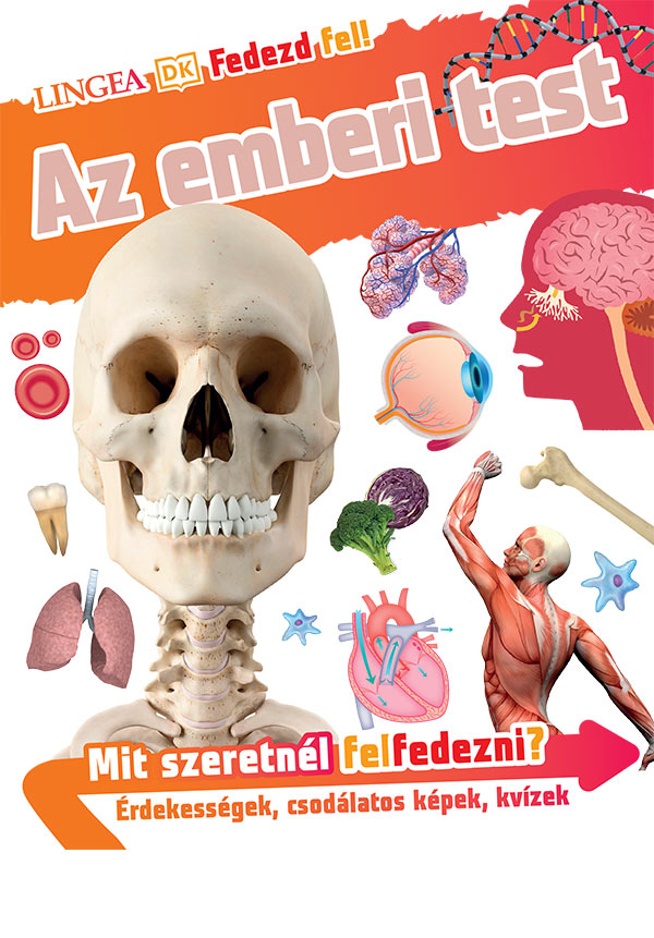 Fedezd fel! - Az emberi test
