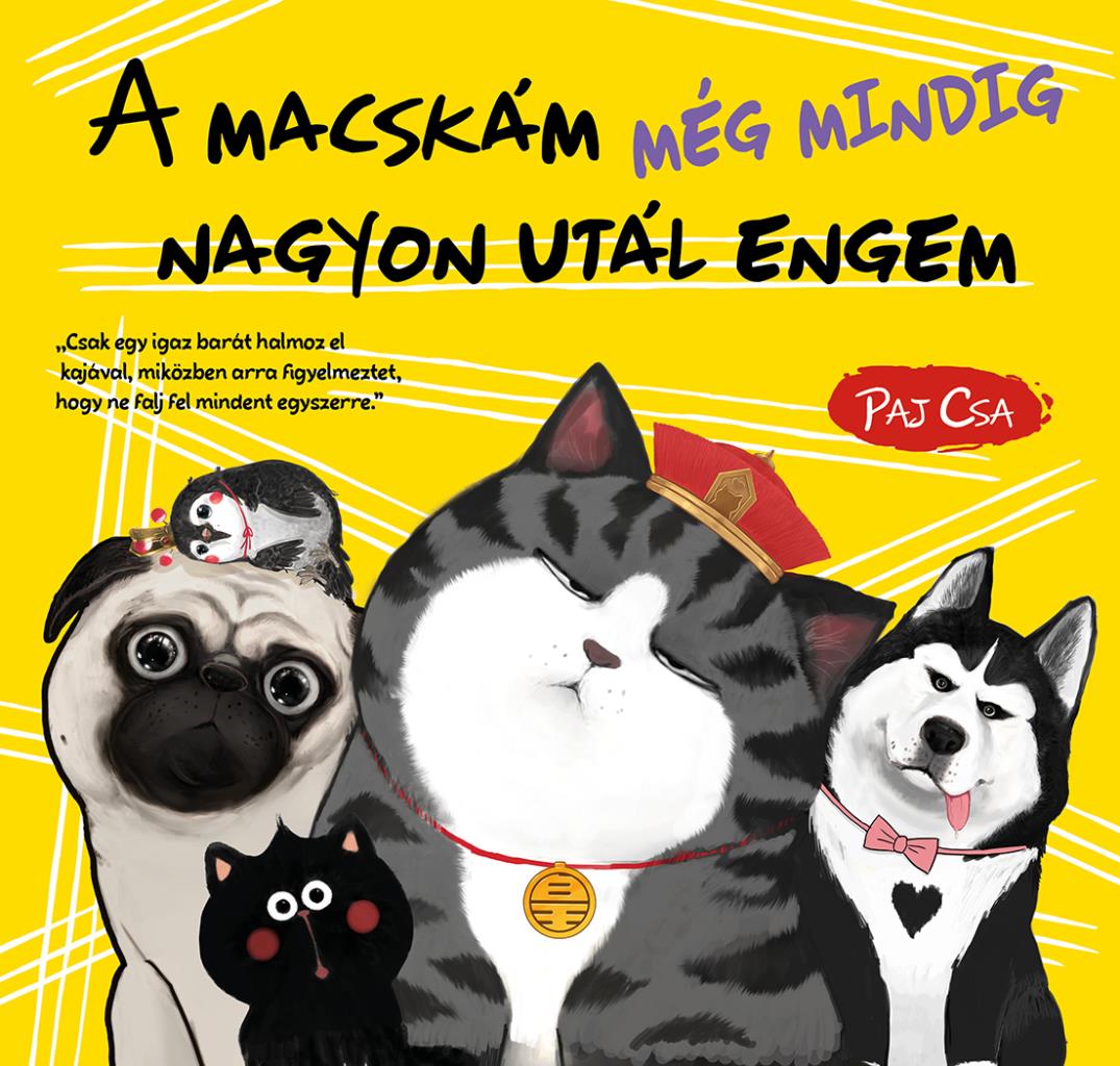 A macskám még mindig nagyon utál engem (Macska és Kutya 3.)