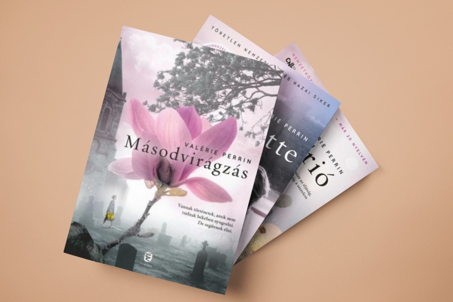 Valérie Perrin könyvek a Book24 kínálatában