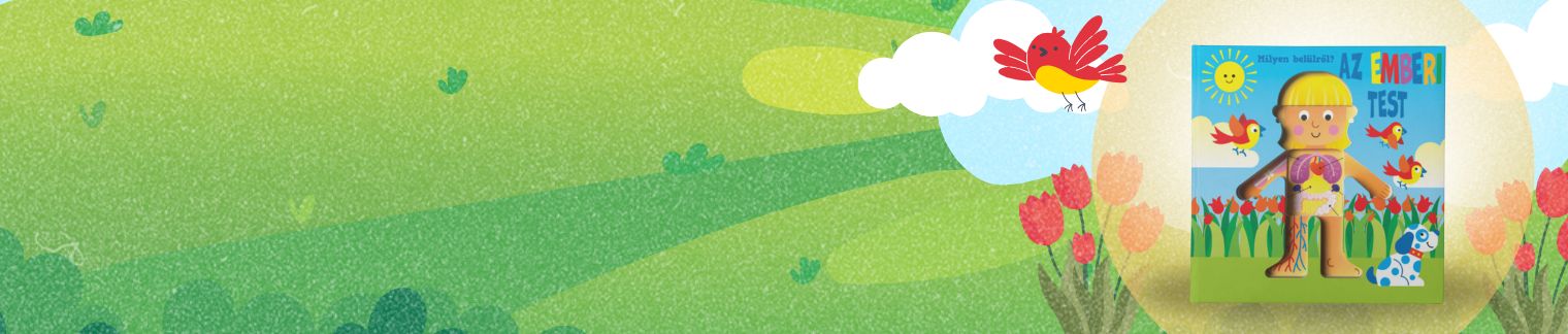 Milyen belülről - Az emberi test