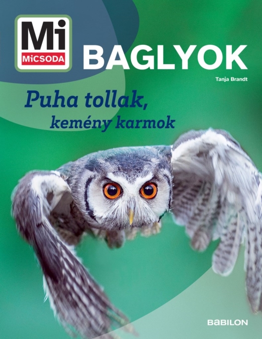 Mi MICSODA Baglyok