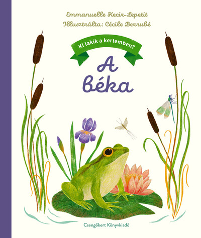 A béka