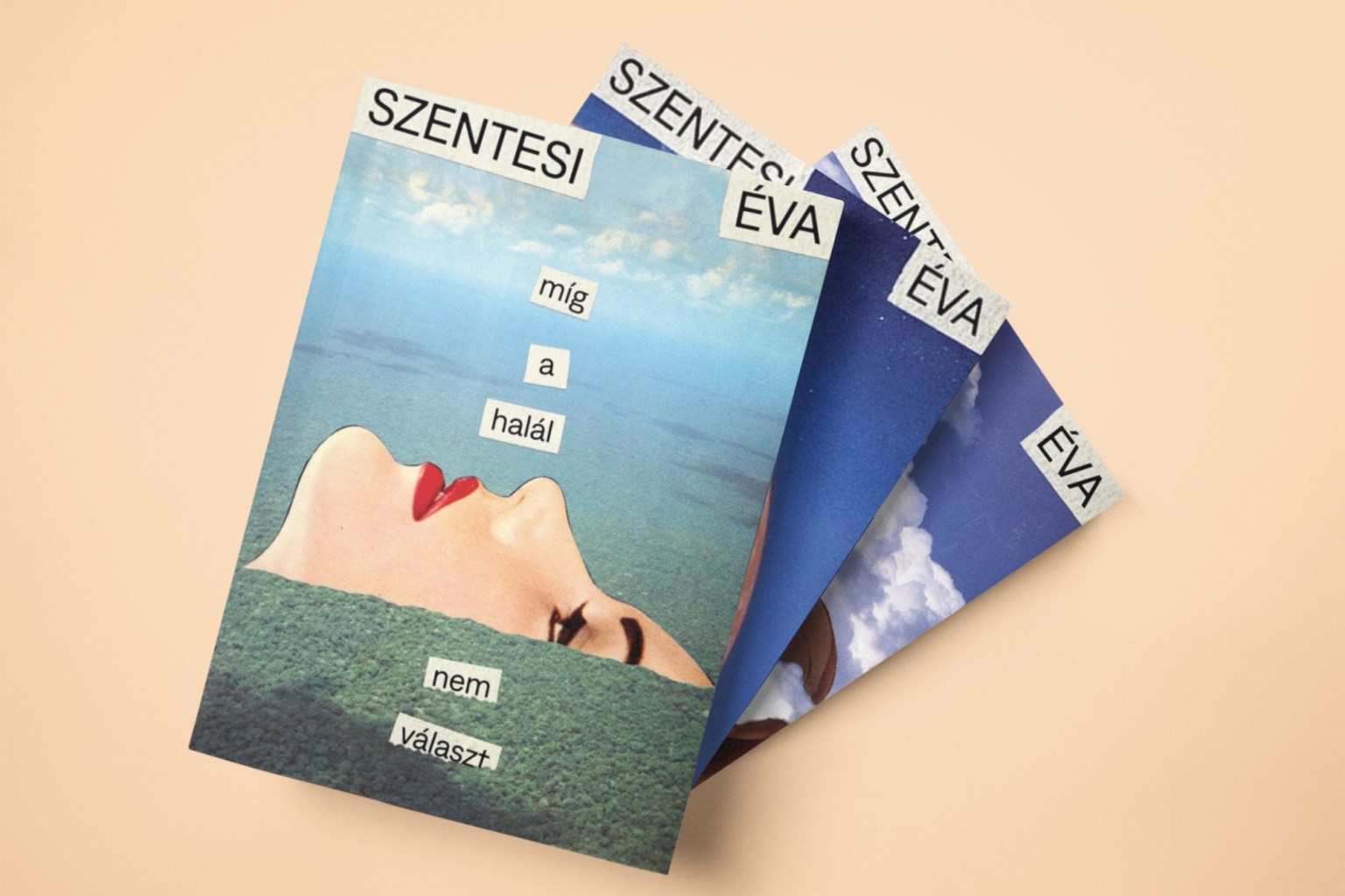 Így változtatta meg a magyar nők életét Szentesi Éva rákellenes harca