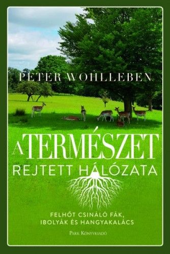 A természet rejtett hálózata