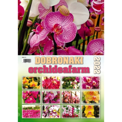 Dobronaki orchideafarm falinaptár - 2022