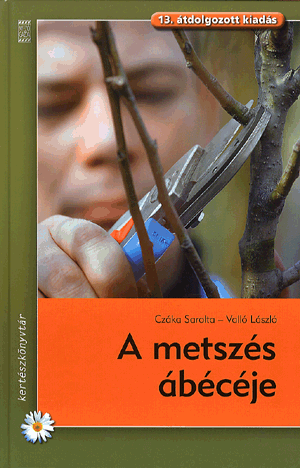A metszés ábécéje