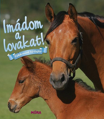 Imádom a lovakat!
