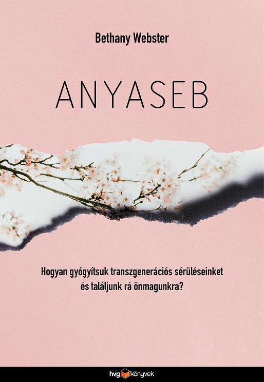 Anyaseb