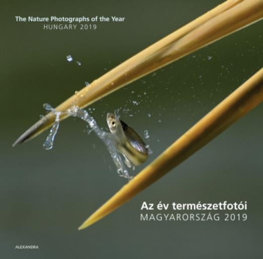 Az év természetfotói - Magyarország 2019 - The Nature Photographs of the Year - Hungary 2019