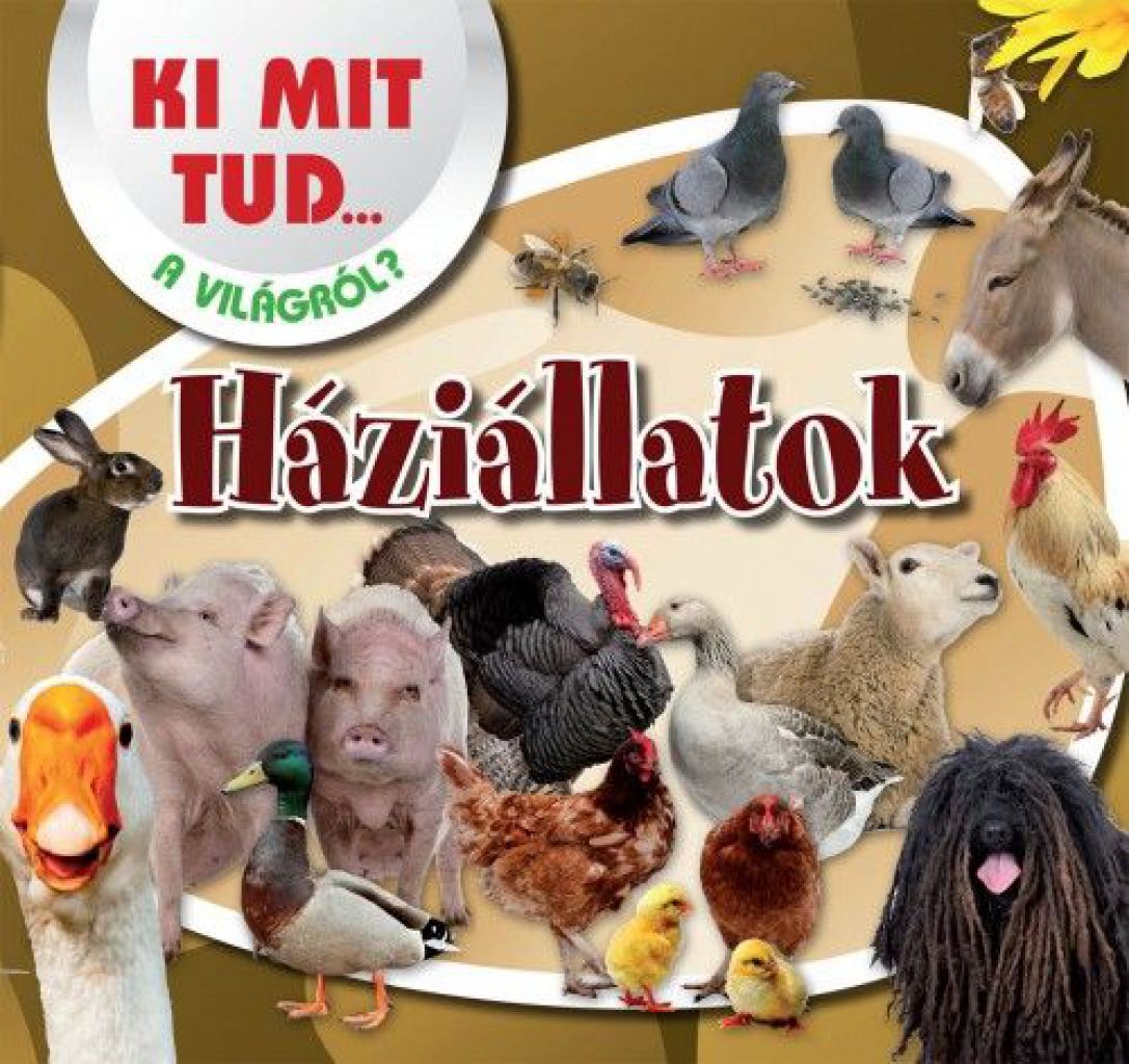 Háziállatok