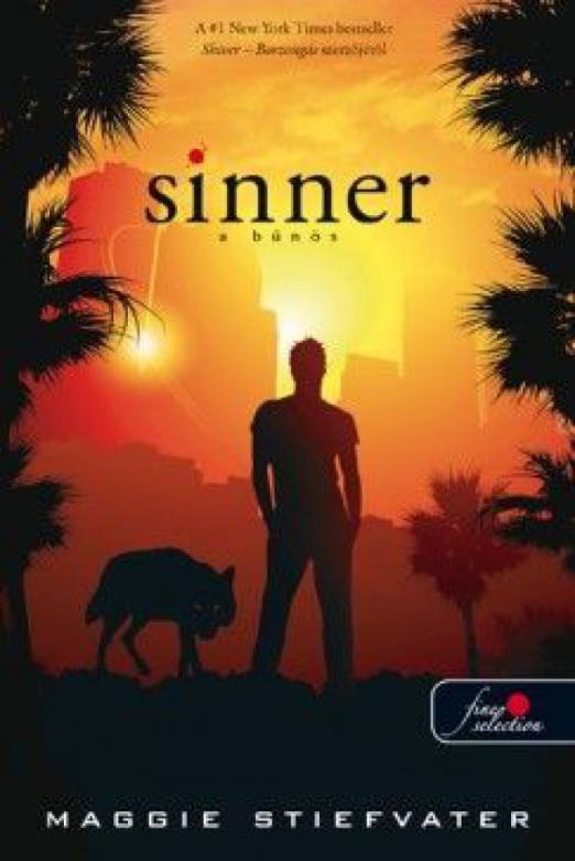 Sinner - A bűnös (puha táblás)