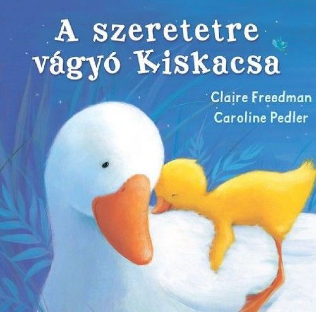 A szeretetre vágyó kiskacsa