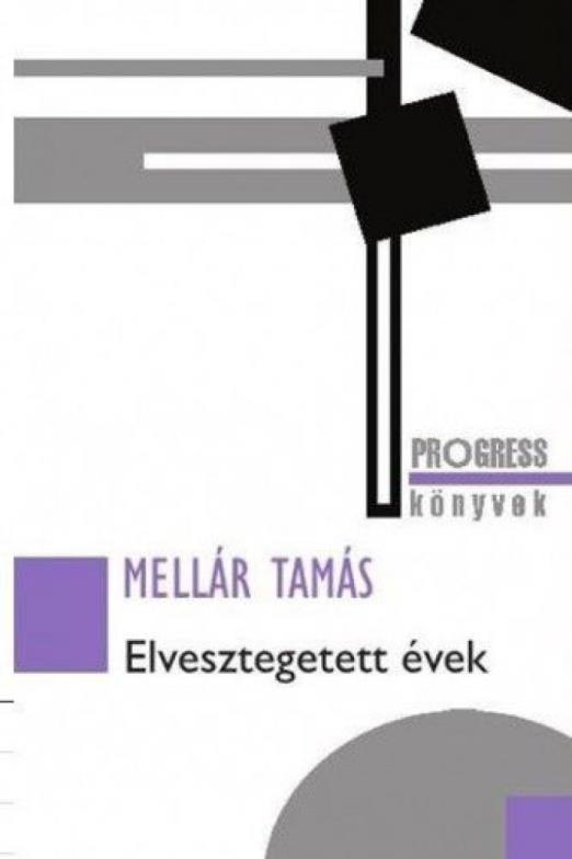 Elvesztegetett évek
