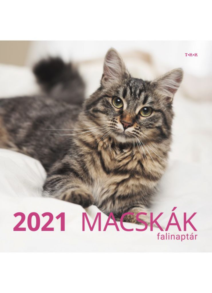 Macskák falinaptár - 2021