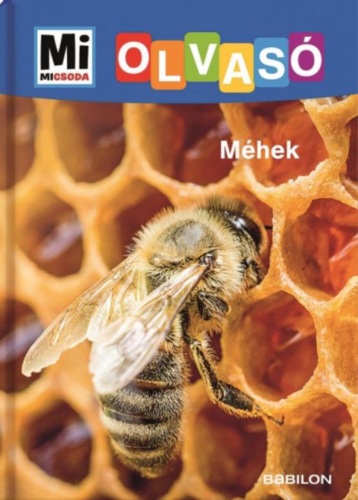 Méhek - Mi Micsoda Olvasó