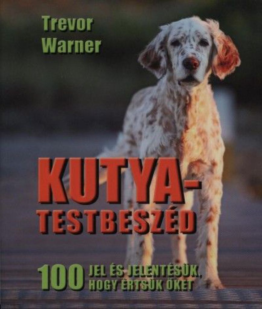 Kutya-testbeszéd