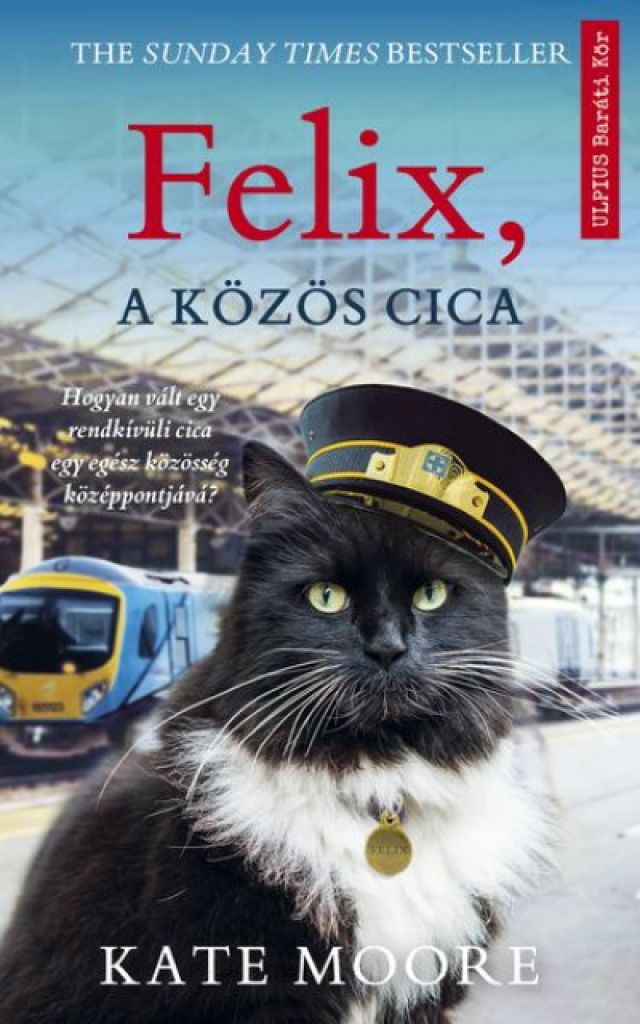 Felix, a közös cica - ELŐRENDELHETŐ